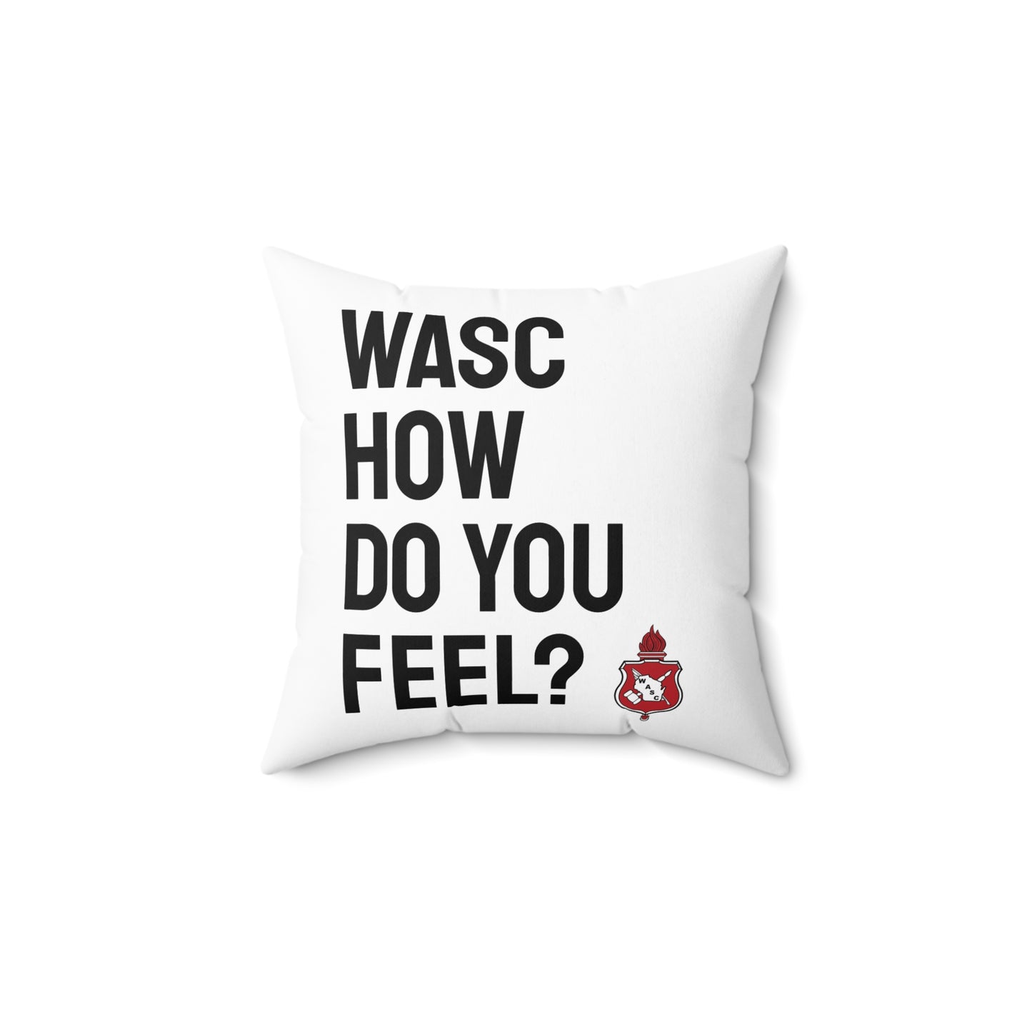 WASC Square Pillow