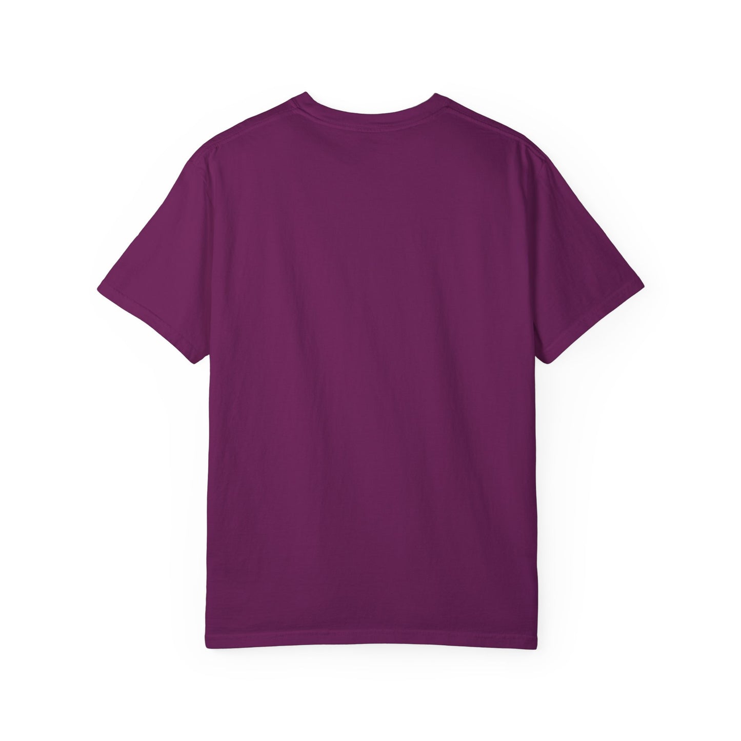 WASC Logo Comfort Colors T-Shirt