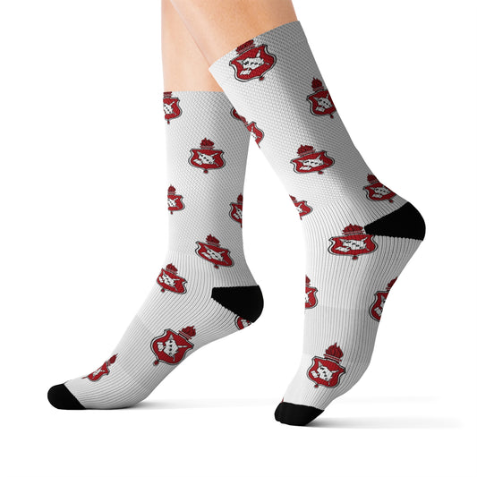 WASC Logo Socks